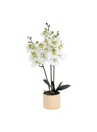 Hace Flwr Arrngmnt 60Cm Height - pzsku/Z9F31858FB37BB7EEEC3CZ/45/_/1718169791/678bb095-3881-423f-9633-11d679cec03b