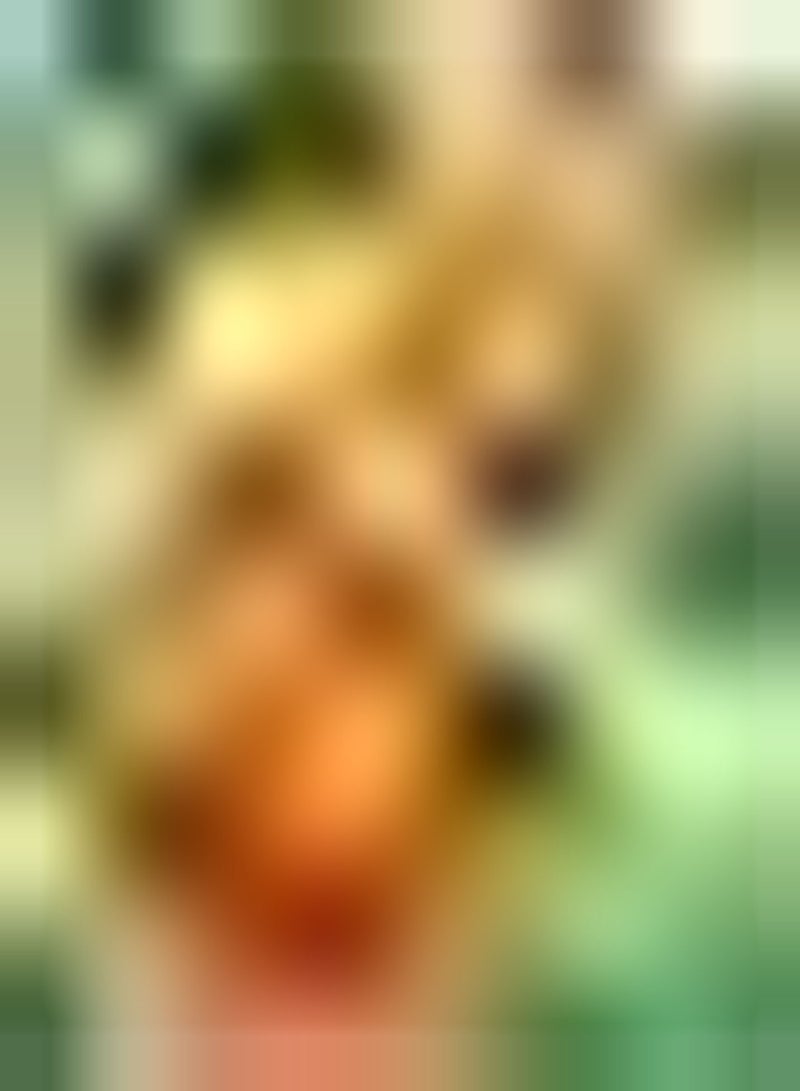 GGOOT 200pcs Oranje Zinnia Zaden Aantrekkelijke Zinnia Bloemzaden voor Thuis Tuinieren Werven Terras Planten Prachtige Oranje Bloemen - Image 3