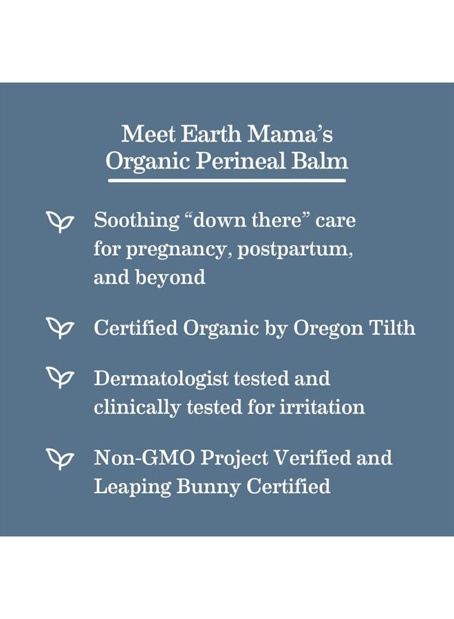 Earth Mama Organic Perineal Balm | Naturally Cooling Herbal Salve for Pregnancy and Postpartum Relief with Witch Hazel u0026 Calendula, Feminine Care Essentials, Benzocaine u0026 Butane Free, 2-Fluid Ounce - Image 5