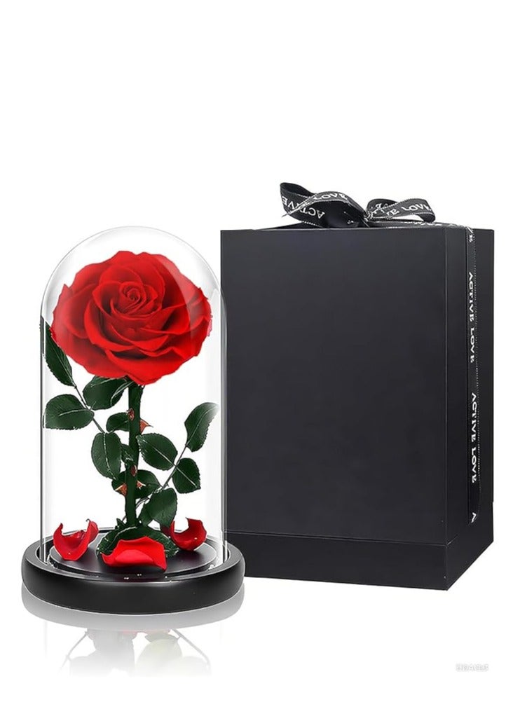 BYYU Forever Red Rose - Image 1