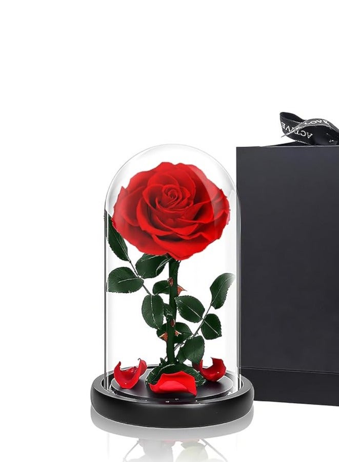BYYU Forever Red Rose - Image 2