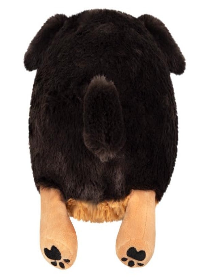 Squishable / Mini Fluffy Dachshund Plush - Image 3