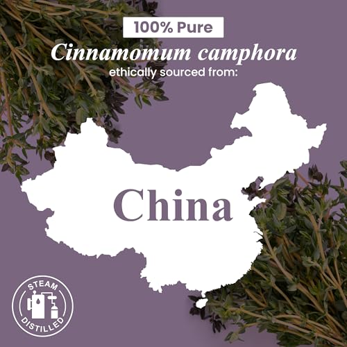 Handcraft Blends Camphor Essential Oil – Huge 4 Fl Oz – 100% Pure and Natural – Premium Grade Essential Oil for Diffuser and Aromatherapy, Skin, Massage, Candle and Soap Making Fragrance - Image 5