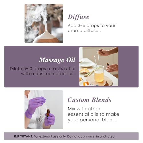 Handcraft Blends Camphor Essential Oil – Huge 4 Fl Oz – 100% Pure and Natural – Premium Grade Essential Oil for Diffuser and Aromatherapy, Skin, Massage, Candle and Soap Making Fragrance - Image 3