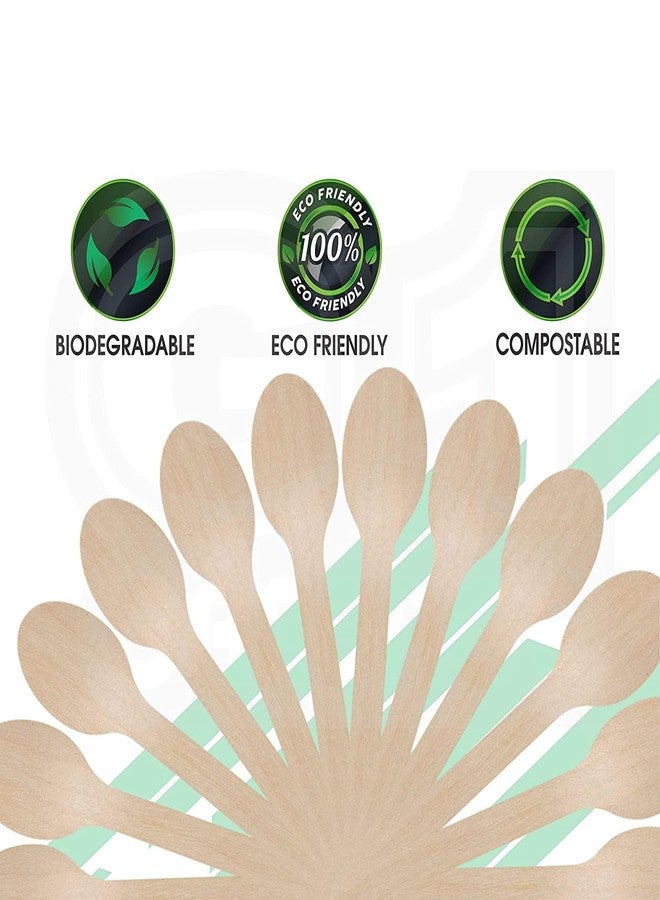 SFU E Com Disposable Wooden Spoons, 160mm, 100 Count, Party and Event Flatware - Image 5