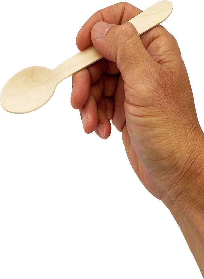 SFU E Com Disposable Wooden Spoons, 160mm, 100 Count, Party and Event Flatware - Image 3
