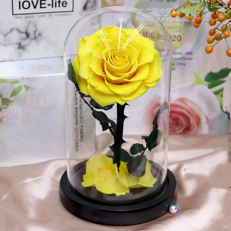 Bluejw Eternal Rose Gift for Mom, Preserved Flower in Glass Dome with LED, Forever Roses Valentines Day, Dried Plants Decor - Image 1