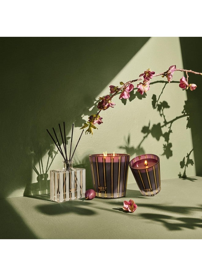 Nest New York NEST New York Scented 3-Wick Candle, Autumn Plum - 21.2 oz - Up to 100-Hour Burn Time - Reusable Glass Vessel  - Image 1