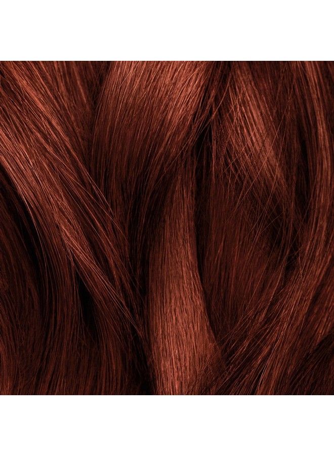 iGK مجموعة لون دائم سموكي سكارليت أوبورن 6R | تطبيق سهل + تقوية + لمعان | نباتي + خالي من القسوة + خالي من الأمونيا | 4.75 أونصة - Image 4