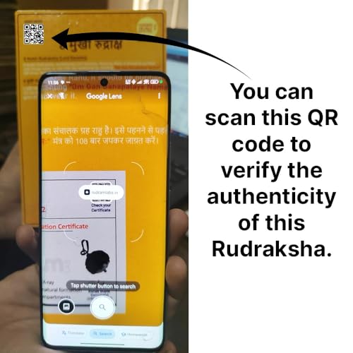 HaridwarDivine Haridwar Divine 7 Mukhi Rudraksha Original Certification with Silver Pendent with 10 mm Dia with Red Thread to add a QR Code for verifying The Authenticity of Your 7 Mukhi Rudraksha - Image 5