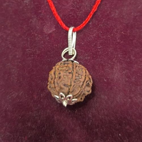 HaridwarDivine Haridwar Divine 7 Mukhi Rudraksha Original Certification with Silver Pendent with 10 mm Dia with Red Thread to add a QR Code for verifying The Authenticity of Your 7 Mukhi Rudraksha - Image 2