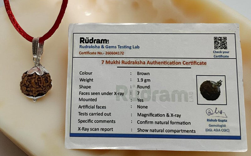HaridwarDivine Haridwar Divine 7 Mukhi Rudraksha Original Certification with Silver Pendent with 10 mm Dia with Red Thread to add a QR Code for verifying The Authenticity of Your 7 Mukhi Rudraksha - Image 3