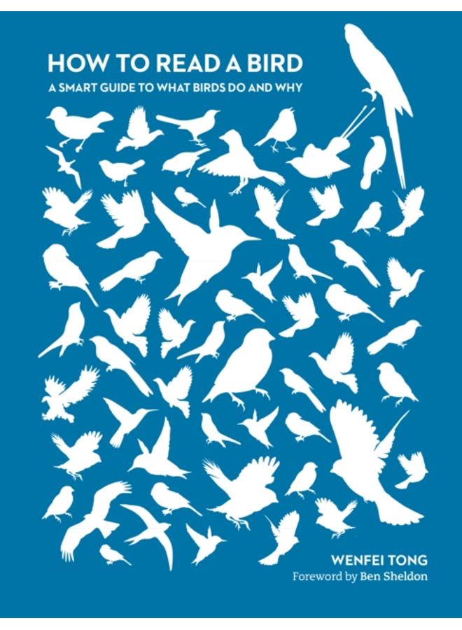 How to Read a Bird : A Smart Guide to What Birds Do and Why 