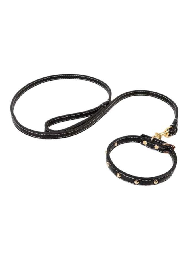 NIBEMINENT Dog Leash Black/Gold 120x1.5x0.4centimeter