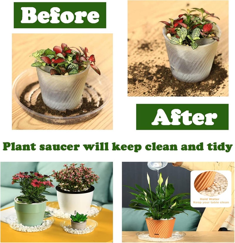 Planterhoma 20 عبوة من الصحون النباتية البلاستيكية الشفافة (مقاس 6 بوصات)، أطباق تقطير وصحون نباتية لأحواض النباتات الداخلية وأواني الزهور، بالجملة - Image 4