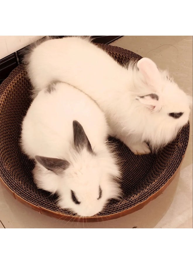Rabbit Claw Grinding Board Toy Rabbit Claw Grinding Sleeping Pad To Relieve Boredom And Bite Resistant Pet Dwarf Rabbit Supplies-Color:Yellow Green Round Medium Size 48*32*8  - Image 5