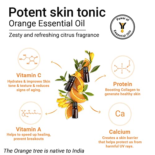 KEYA SETH AROMATHERAPY, DEVICE OF DROP KEYA SETH AROMATHERAPY Orange Gel Scrub, Vitamin C Enriched, Walnut Shell, Natural Exfoliation, Removes Dead Cells, Brightening, Refreshing- 160gm - Image 3