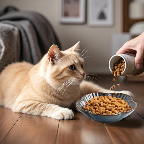 Mecaikru Cat Food Bowls, Ceramic Pet Plates, Cat Dish for Food, Water and Snack, 4.72 Inch, Indoor and Outdoor Use, Kitten Puppy and Small Animals Bowls Set of 3 (Blue) - Image 5