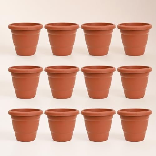 UGAOO Cosmos Plastic Pot for Plants 8 Inch (Set of 12), Plant Pots for Balcony & Home Decor, Plastic Flower Pot for Gardening, Planting Pots for Garden & Outdoor Spaces - Image 1