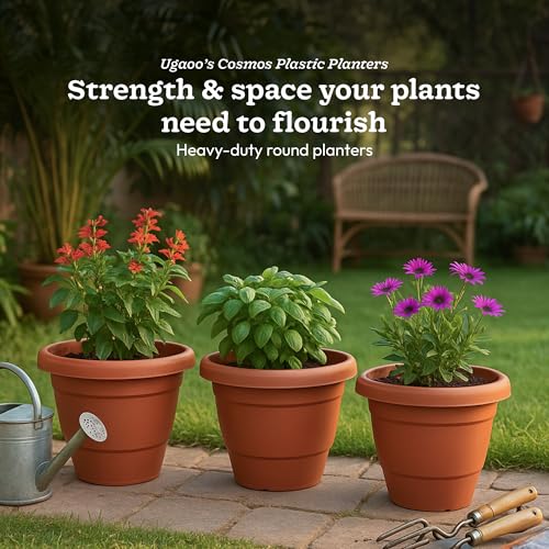 UGAOO Cosmos Plastic Pot for Plants 8 Inch (Set of 12), Plant Pots for Balcony & Home Decor, Plastic Flower Pot for Gardening, Planting Pots for Garden & Outdoor Spaces - Image 2