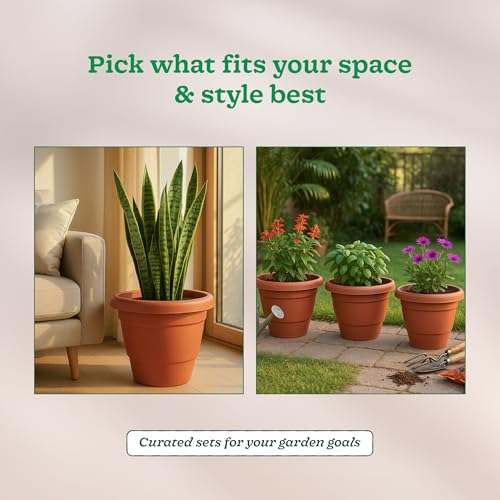 UGAOO Cosmos Plastic Pot for Plants 8 Inch (Set of 12), Plant Pots for Balcony & Home Decor, Plastic Flower Pot for Gardening, Planting Pots for Garden & Outdoor Spaces - Image 3