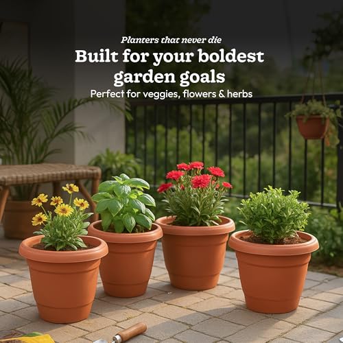UGAOO Cosmos Plastic Pot for Plants 8 Inch (Set of 12), Plant Pots for Balcony & Home Decor, Plastic Flower Pot for Gardening, Planting Pots for Garden & Outdoor Spaces - Image 4