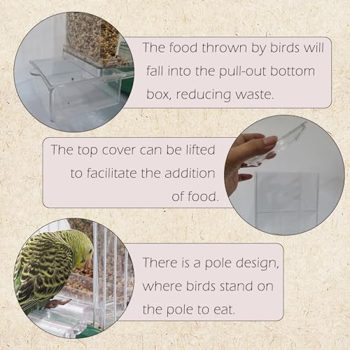 IBWell No Mess Automatic Bird Feeder for Cage - Parrot Feeder Inside Cage With Clear Perch and Acrylic Seed Food Container - Image 4