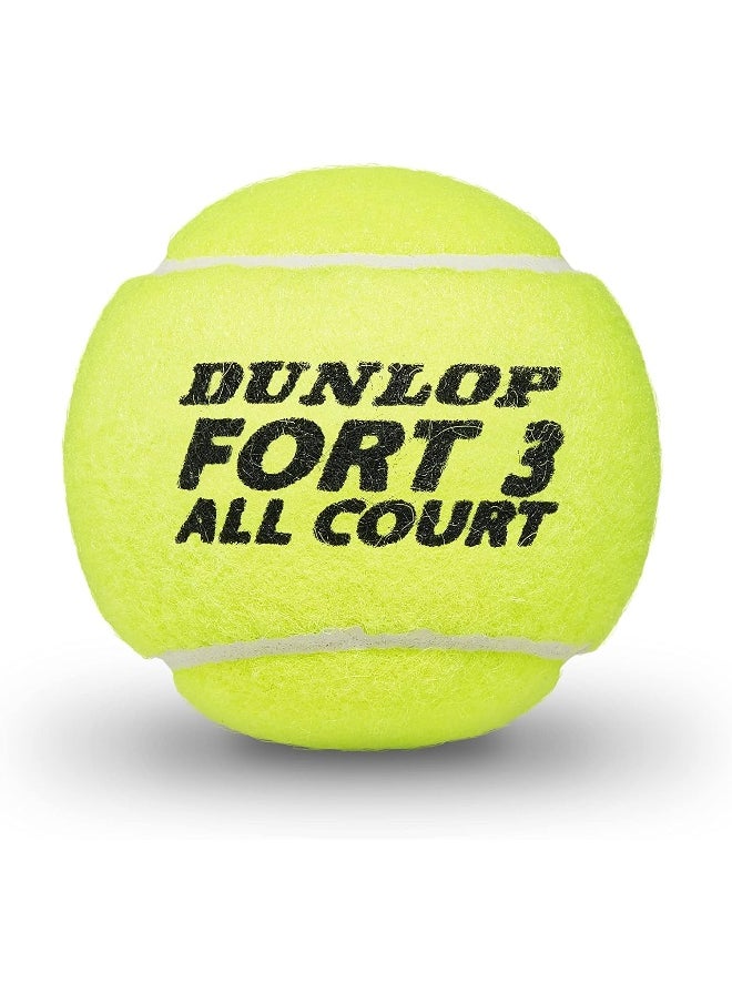 DUNLOP - Tennis Ball Fort All Court Ts - Image 1