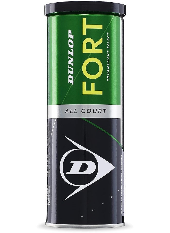 DUNLOP - Tennis Ball Fort All Court Ts - Image 1