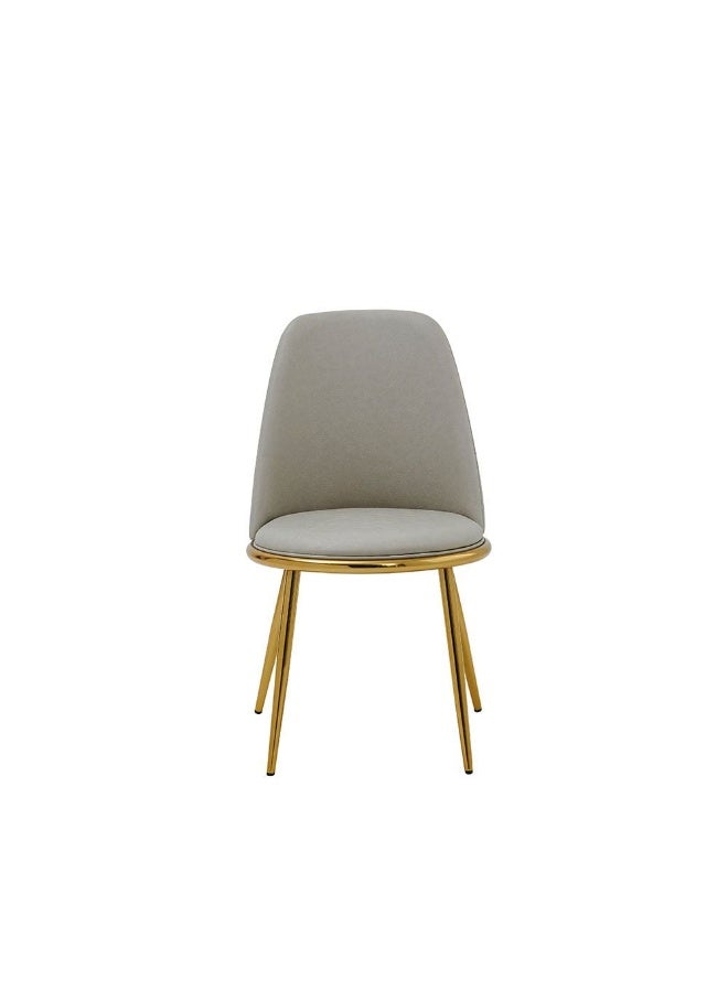 DANUBE HOME مجموعة كراسي نيهة من 2 كرسي طعام بظهر مرتفع ومقعد ناعم مثالي لمطبخ وغرفة طعام وغرفة معيشة ومكياج - بيج / ذهبي - Image 5