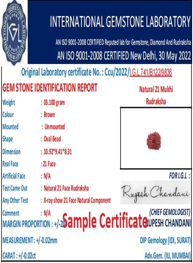 IRIS GEMS 21 Mukhi Rudraksha Nepali 21 मुखी रुद्राक्ष नेपाल ओरिजिनल सर्टिफाइड 21 Face Rudraksha Original Certified by Igl Ikkis Mukhi Rudraksha for Women Men इक्कीस मुखी रुद्राक्ष Ikkis Mukhi by IRIS GEMS - Image 4