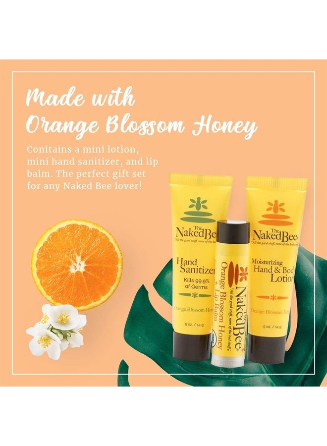 Old Spice Wild Collection Invisible Solid Antiperspirant Deodorant, Wolfthorn, 2.6 Ounce (Pack of 2) - Image 2