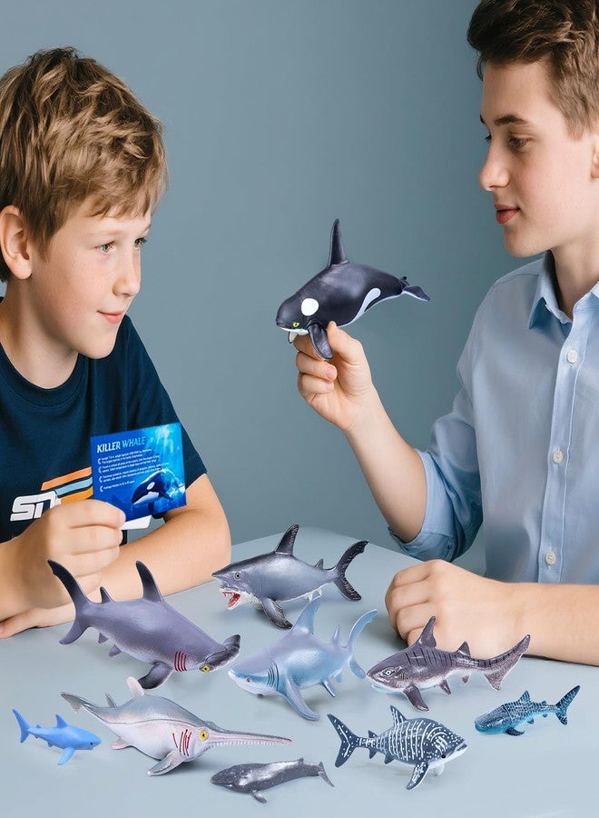SIENON 11pcs Shark Figures with Booklet, Realistic Sea Creatures Bath Toys with Small Whale Shark Ocean Animal Figurines for Kids Educational Birthday Party Gift Cake Decorations - Image 5
