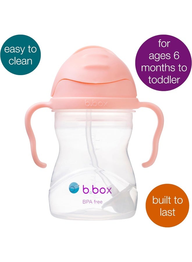 b.box Sippy Cup Straw Mug - Image 3