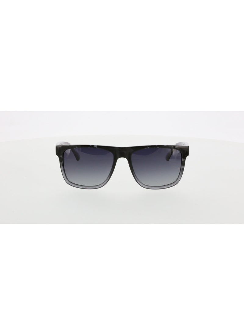 1946 02 Unisex Sunglasses - pzsku/Z9F4E3C1E5083F642A91BZ/45/_/1730788435/f87b89ff-b0a1-4ceb-b9df-be8f5ad9ecc7