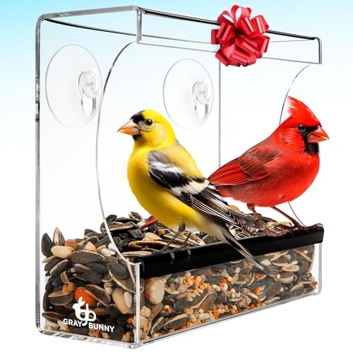 Gray Bunny Clear Window Bird Feeder - Premium Bird Feeder for Outdoors with Strong Suction Cups with Drain Holes and Large Seed Capacity - Image 1