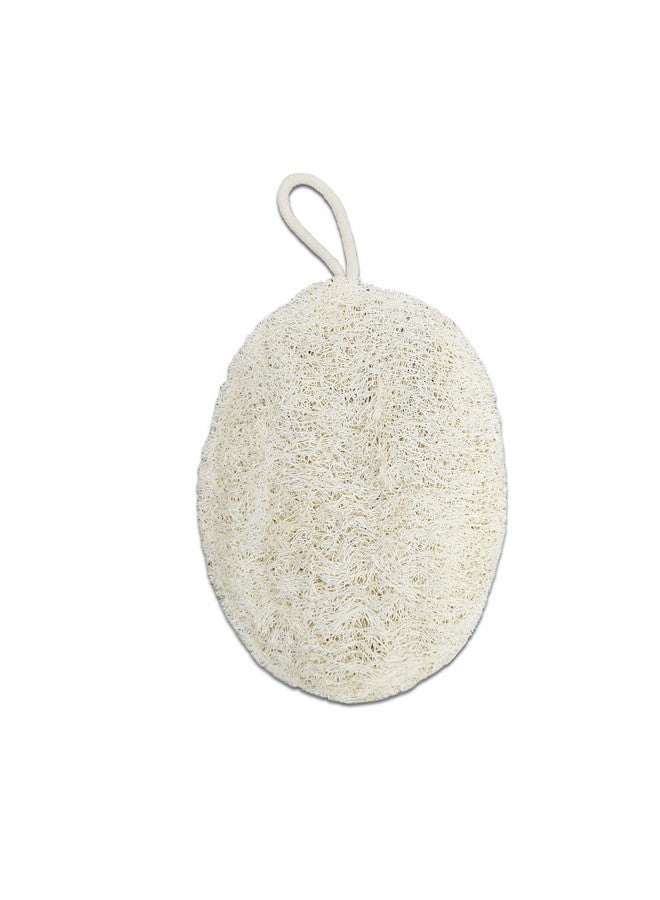 Comet Busters Eco Friendly Dried and Processed Indian Sponge Gourd Loofah (HA181) - Image 1