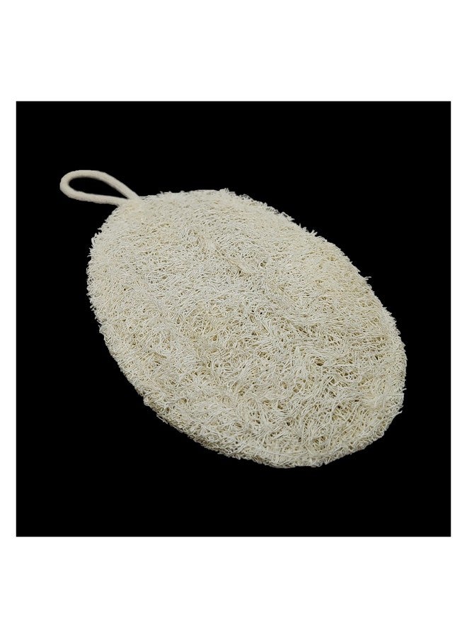 Comet Busters Eco Friendly Dried and Processed Indian Sponge Gourd Loofah (HA181) - Image 3