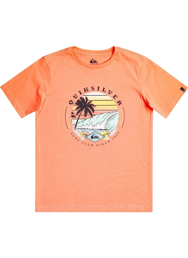 QUIKSILVER Boy's T-Shirt EQBZT04641-MHV0