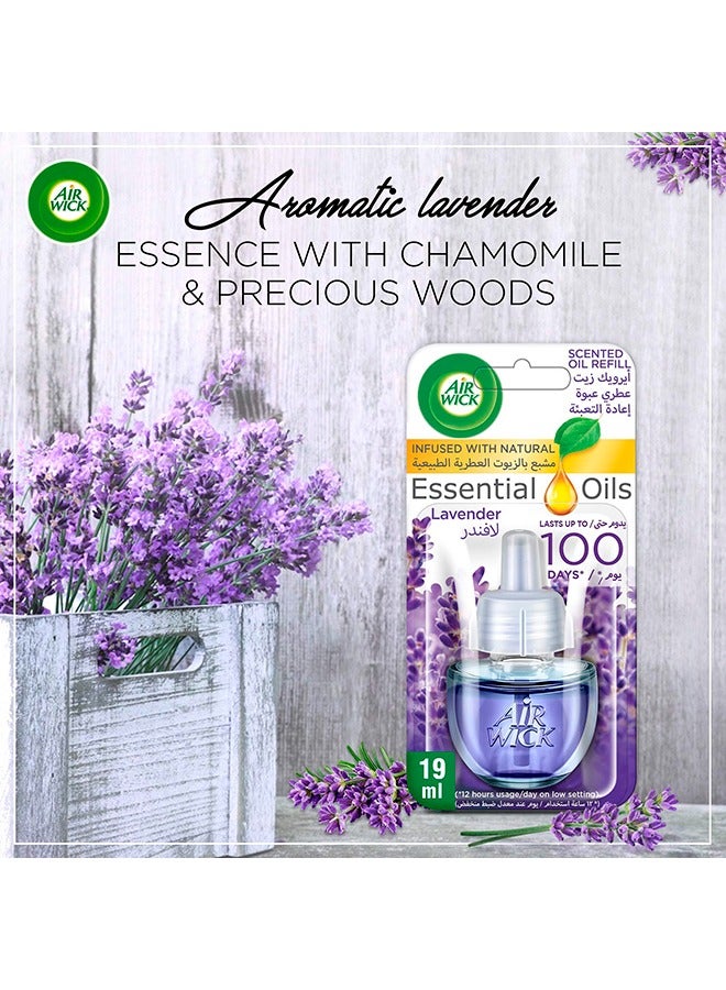 Air Wick Scented Oil Diffuser Refill Lavender Fragrance Pack of 2  - Image 5