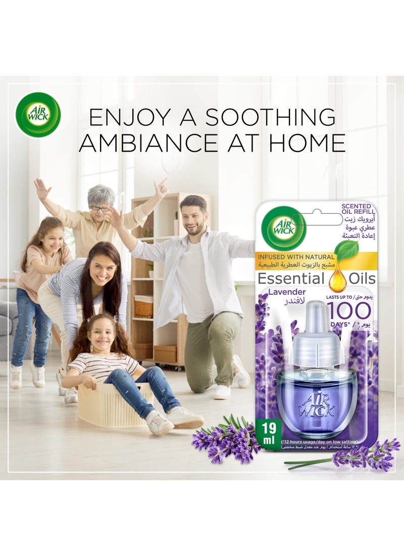 Air Wick Scented Oil Diffuser Refill Lavender Fragrance Pack of 2  - Image 5