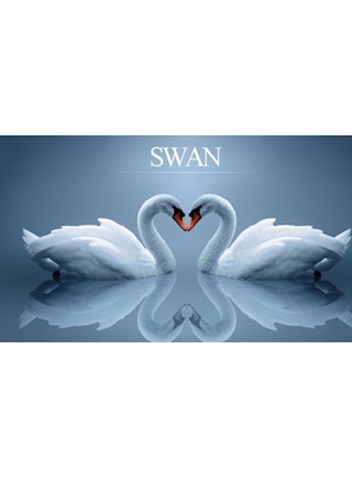 Women's Swan Crystal Bracelet Cubic Zirconia Charm Bracelet Iconic Swan Pendant Bracelet Jewelry Gift for Friend & Girlfriend & Mom - view 4