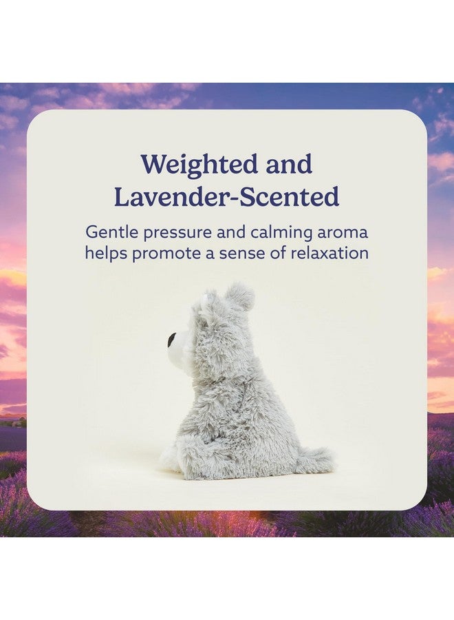 Warmies Microwavable & Stuffed Animals, Husky - Heated Stuffed Animal Plushie for Warmth & Comfort - Cute Soft Plush Toys for Adults & Children (Boys, Girls, Babies & Toddlers) - Image 3