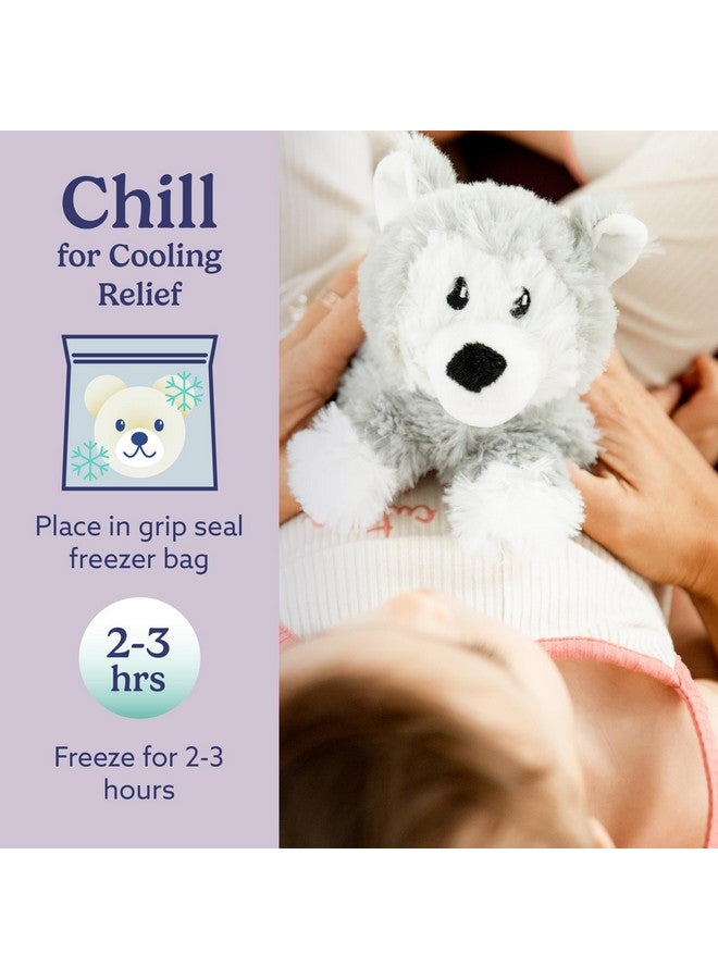Warmies Microwavable & Stuffed Animals, Husky - Heated Stuffed Animal Plushie for Warmth & Comfort - Cute Soft Plush Toys for Adults & Children (Boys, Girls, Babies & Toddlers) - Image 5