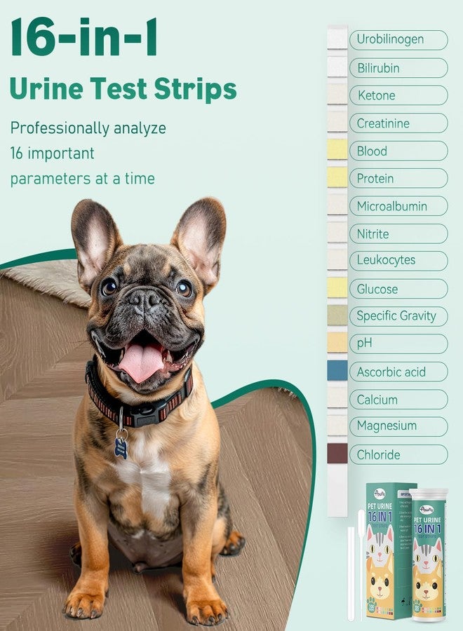 Pawfly 100 Strips Urine Test Strips, UTI Test Kit for 16 Parameters, Pet Urine Testing Strips, Veterinary Urinalysis Test Strips for Ketone, Glucose, Blood, Specific Gravity pH & More - Image 3
