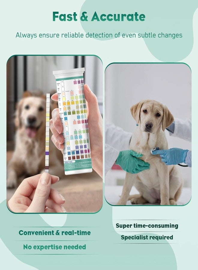 Pawfly 100 Strips Urine Test Strips, UTI Test Kit for 16 Parameters, Pet Urine Testing Strips, Veterinary Urinalysis Test Strips for Ketone, Glucose, Blood, Specific Gravity pH & More - Image 4