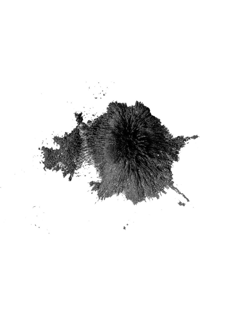 DIETURY DIETURY Iron Filling Powder 200g with 2 Inch Strong Magnet 2 Inch Steel Compass  - Image 2