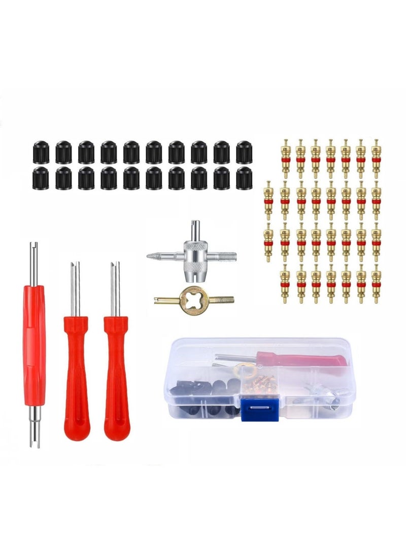 65 مجموعة من صمامات الإطارات الأساسية، بما في ذلك 40 صمام، و 20 صمام، و 3 أدوات للتفكيك ذات الرأسين، وصمام ذي رأسين، وصمام ذي أربعة وظائف - Image 1