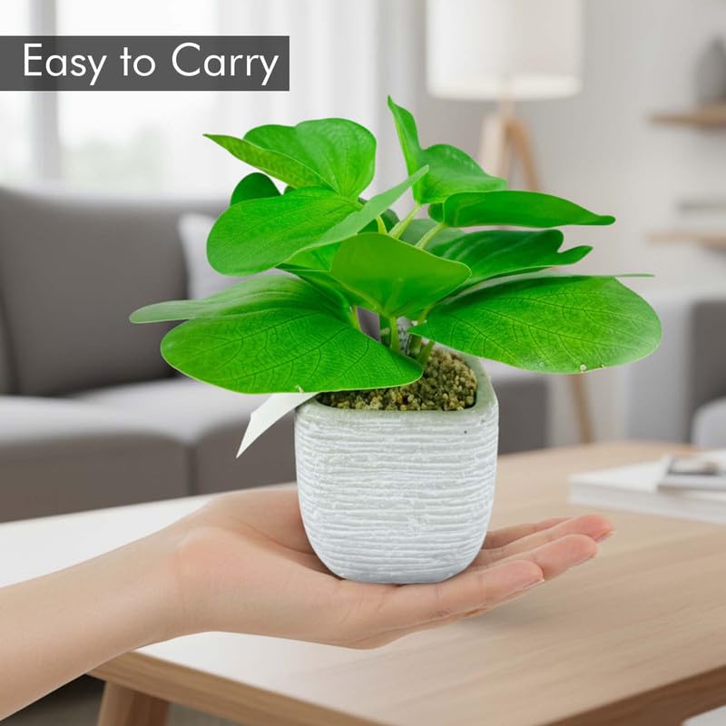 Go Hooked نبات أخضر صناعي مع وعاء سيراميك 20 سم | نبات داخلي زخرفي لتزيين المنزل، مكتب العمل، غرفة المعيشة، غرفة النوم وزينة الطاولة - Image 2