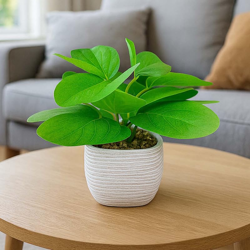 Go Hooked نبات أخضر صناعي مع وعاء سيراميك 20 سم | نبات داخلي زخرفي لتزيين المنزل، مكتب العمل، غرفة المعيشة، غرفة النوم وزينة الطاولة - Image 1
